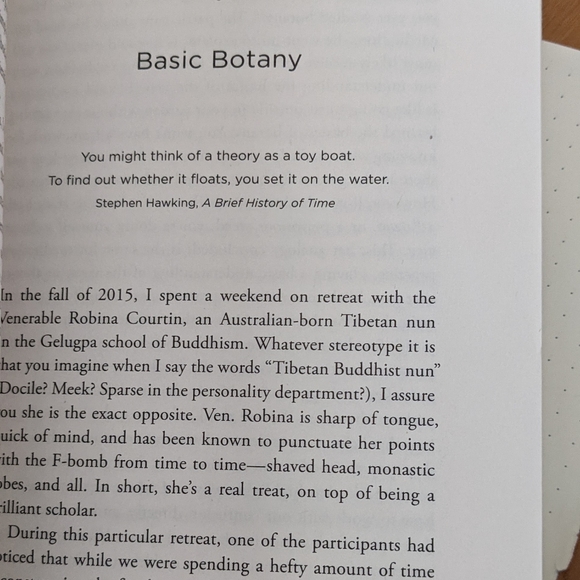 ♻️ SOLDTea And Cake With Demons Paperback Buddhism - Picture 5 of 10